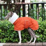 Manteau d'extérieur en coton matelassé pour chien, col de tortue orange, lévrier italien chaud, fouet ... Manteau d'extérieur en coton matelassé pour chien, col de tortue orange, lévrier italien chaud, fouet ...