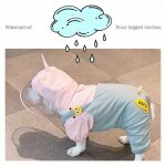 Manteau de pluie licorne pour chien bouledogue français, imperméable, vêtements pour petits et moyens ... Manteau de pluie licorne pour chien bouledogue français, imperméable, vêtements pour petits et moyens ...