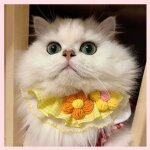 (marguerites dores)petit bavoir broderie triangle vtements a la mode costume avec rglable scraft bavoirs ...