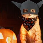 Masque facial d'halloween pour la plupart des chats, boucle elastique confortable a porter, ajustable, ...
