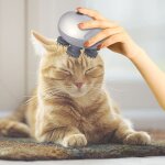 Masseur de tte electrique intelligent pour chat et chien, appareil de massage etanche pour la croissance ...