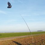 M�t t�lescopique pour cerf volant effaroucheur