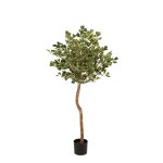Mica decorations ficus triangularis � plante artificielle en pot � fausse plante interieur � plantes ...