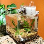 Mini aquarium transparent en acrylique, bol de poisson portable de bureau pour betta tropical fish starter ... Mini aquarium transparent en acrylique, bol de poisson portable de bureau pour betta tropical fish starter ...