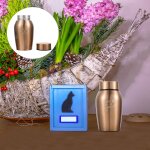 Mini cercueil d'urne funraire en acier inoxydable pour animaux de compagnie, urnes commmoratives, bote ...