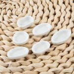 Mini mangeoire pour ferme a fourmis, 5 pi�ces, accessoires pour nid d'insecte, fourmi, fourmi, fourmi, ...