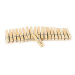 Mini pinces � linge x100