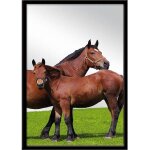 Miroir rectangulaire cheval