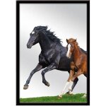 Miroir � suspendre cheval