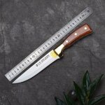 Mise a niveau dsossage couteau poisson trancher eplucher couteau pain fruits coupe - hachoir a viande ...