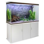Monstershop ¿ aquarium blanc de 300 litres, kits et accessoires de dmarrage, plantes, graviers naturel, ...
