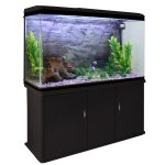 Monstershop ¿ aquarium a bords noir de 300 litres, kits et accessoires de dmarrage, plantes, graviers ...