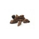 Morilles extra premium dshydrates, 25g