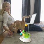 Moulin a vent interactif pour chat, jouet en forme de plume, bton amusant, jouets pour animaux de compagnie, ...