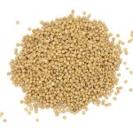 Moutarde jaune en graines - sachet de 1 kg