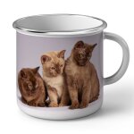 Mug en métal emaillé bebe chats siamois persan poils longs chat trio mignon Mug en métal emaillé bebe chats siamois persan poils longs chat trio mignon