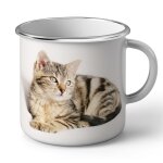 Mug en mtal emaill splendide chaton tigre yeux gris europeen mignon chat