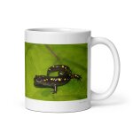 Mug salamandre, la vagabonde secr�te des for�ts humides 312 ml