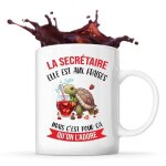 Mug - la secr�taire - tasse m�tier - c�ramique - design recto / verso - blanc