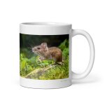 Mug souris, la discr�te chercheuse de nourriture des champs et de la maison 312 g