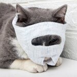 Museli�re anti - morsure pour chat, produits d'entra�nement, respirante, pour petit chien, anti - l�chage, ...