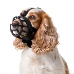 Museli�re baskerville ultra muzzle 1