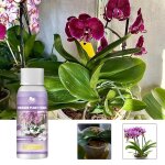 Navigateur alimentaire pour plantes d'orchides, 50ml, supplment rehausseur de croissance des plantes, ...