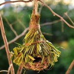 Nid d'oiseau tiss� a la main, fen�tre de nidification, jardin suspendu, cabane, nid d'oiseau, d�coration ...