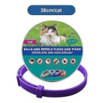 Nouveaux colliers veterinaires anti - puces et anti - tiques pour chiens et chats, colliers antiparasitaires ...