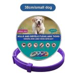 Nouveaux colliers veterinaires anti - puces et anti - tiques pour chiens et chats, colliers antiparasitaires ...