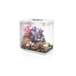 Oase - aquarium 15l led blanc flow 15 mcr white
