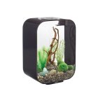 Oase - aquarium 15l led noir life 15 led black Oase - aquarium 15l led noir life 15 led black