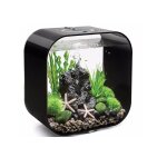 Oase - aquarium 30l contours noir life 30mcr black