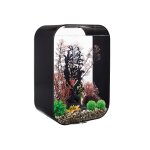 Oase - aquarium 60l contours noir life 60 mcr black
