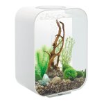 Oase - aquarium décoratif 15l avec cadre blanc life 15 mcr white Oase - aquarium décoratif 15l avec cadre blanc life 15 mcr white