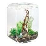 Oase - aquarium dcoratif 15l avec cadre transparent life 15 mcr transparent
