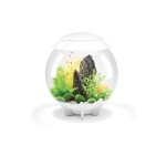 Oase - aquarium dcoratif 30l blanc halo 30 mcr white