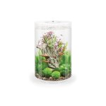 Oase - aquarium dcoratif 30l blanc tube 30 mcr white