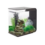 Oase - aquarium décoratif 30l led avec cadre noir flow 30 led black Oase - aquarium décoratif 30l led avec cadre noir flow 30 led black