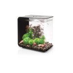 Oase - aquarium dcoratif 30l mcr avec cadre noir flow30mcr black