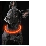(orange) 1 pi�ce collier lumineux pour chien, collier led rechargeable par usb, coupe a n'importe quelle ...
