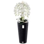 Orchid�e artificielle - botle - h 110 cm - fleurs blanches - pot moderne - entretien facile