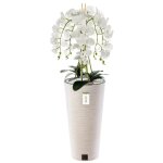 Orchid�e artificielle - botle - h 110 cm - fleurs blanches - pot en plastique - entretien facile