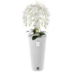 Orchide artificielle bouquet de fleurs blanches feuilles galets pot haut blanc h 110 cm v2