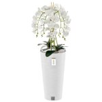 Orchid�e artificielle - botle - h 110 cm - fleurs blanches - pot moderne - entretien facile