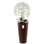 Orchid�e artificielle - botle - h 110 cm - fleurs blanches - pot en plastique - entretien facile