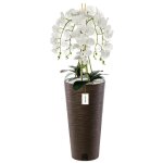Orchid�e artificielle - botle - h 110 cm - fleurs blanches - pot haut marron fonc� - design contemporain ...