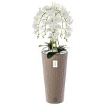 Orchid�e artificielle - mocca - h 110 cm - fleurs blanches - pot moderne - entretien facile