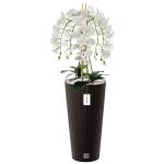 Orchid�e artificielle - botle - h 110 cm - fleurs blanches - pot moderne - sans entretien
