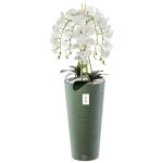 Orchid�e artificielle - botle - h 110 cm - fleurs blanches - pot haut - aucun entretien n�cessaire